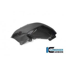 Tank Panel left BMW R 1250 R