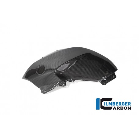 Tank Panel left BMW R 1250 R