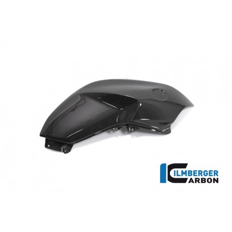Tank Panel right BMW R 1250 R 