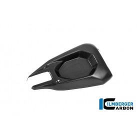 Swingarm Cover right Ducati Panigale V4 2025 - matte