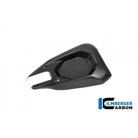 Swingarm Cover right Ducati Panigale V4 2025 - matte