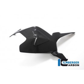 Swingarm Cover - Ducati Streetfighter V2 - glossy
