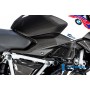 Side Panel under the Tank right BMW R 1250 R