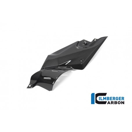 Side Panel under the Tank left BMW R 1250 R