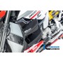 Radiator Cover left Ducati Streetfighter V2 - glossy