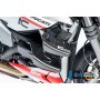 Radiator Cover right Ducati Streetfighter V2 - glossy