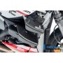 Radiator Cover right Ducati Streetfighter V2 - glossy