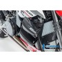 Radiator Cover right Ducati Streetfighter V2 - glossy