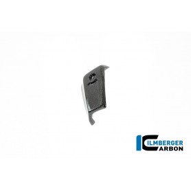 Oil Cooler Cover left Carbon BMW R12 NineT 2024 - glossy
