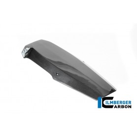 Motor Spoiler Carbon BMW R12 NineT 2024 - glossy