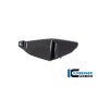 Lower Wing left BMW M 1000 XR 2024