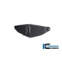 Lower Wing right BMW M 1000 XR 2024