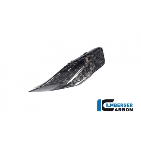 Lower Tank Cover right BDC BMW R 1300 GS from 2023 - glossy