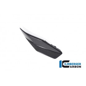 Lower Tank Cover right BMW R 1300 GS from 2023 - glossy