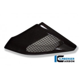 Injection Cover Carbon - BMW R 1200 GS 2004-2007