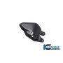 Heal Guard right Ducati Diavel V4 from 2023 - glossy