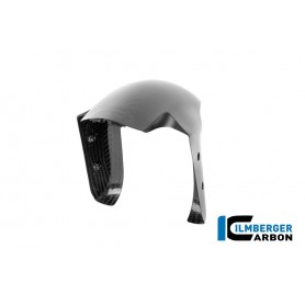 Front Mudguard Ducati Panigale V4 2025 - matte