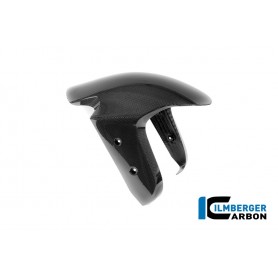 Front Mudguard Ducati Panigale V4 2025 - glossy