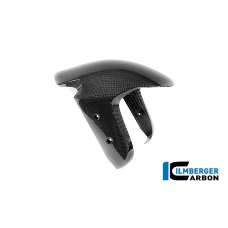 Front Mudguard Ducati Panigale V4 2025 - glossy