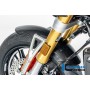 Front Fender Carbon BMW R12 NineT 2024 - glossy