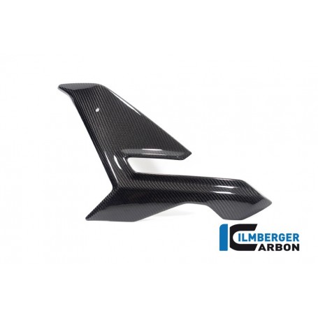 Fairing Side Panel left BMW M 1000 R 2023