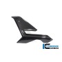 Fairing Side Panel left BMW M 1000 R 2023