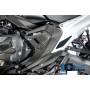 Frame Cover left Carbon BMW R 1300 GS from 2023 - glossy