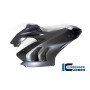 Fairing Side Panel right side Ducati Panigale V4 (S) Racing from 2022 - matte