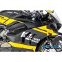 Fairing Side Panel right side Ducati Panigale V4 (S) Racing from 2022 - glossy