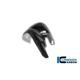 Exhaust Protection Ducati Panigale V4 2025 - glossy