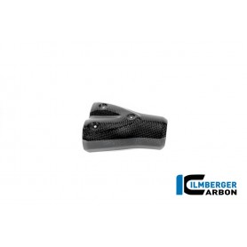 Exhaust Heat Shield Carbon BMW R12 NineT 2024 - glossy