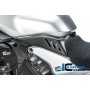 Cover under the Tank left Ducati Diavel V4 from 2023 - matte