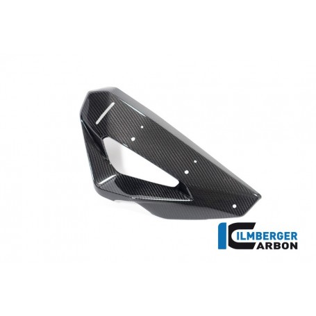 Cover on the Watercooler with Winglet Position right BMW M 1000 XR 2024