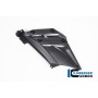 Bellypan Insert left Ducati Streetfighter V2 - matte