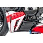 Bellypan Insert left Ducati Streetfighter V2 - glossy
