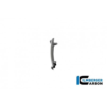 Brake Line Cover Carbon BMW R12 NineT 2024 - glossy