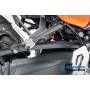 Brake Line Cover Carbon BMW R12 NineT 2024 - glossy