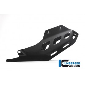 Bellypan Surface Ducati MTS 1200 16 Enduro - glossy