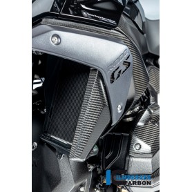 Airvent Cover left side BMW R 1300 GS from 2023 - matte