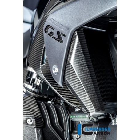 Airvent Cover right side Carbon BMW R 1300 GS from 2023 - matte