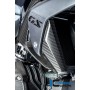 Airvent Cover right side Carbon BMW R 1300 GS from 2023 - matte