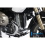 Alternator Cover Carbon - BMW R 1200 GS 2004-2012