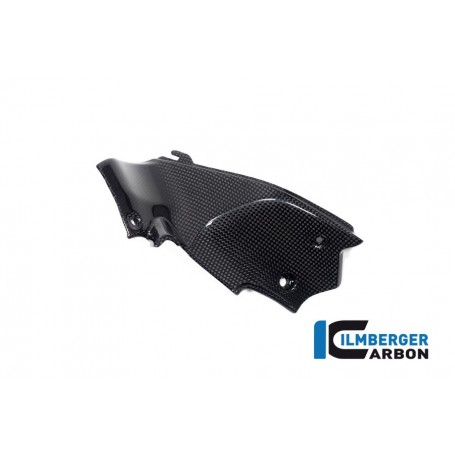 Airtube Covers left Ducati Streetfighter V2 - glossy