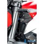 Airtube Covers left Ducati Streetfighter V2 - glossy