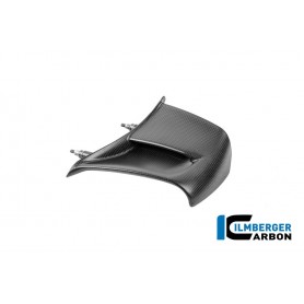 Winglet left Ducati Panigale V4 2025 - matte