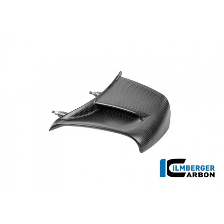 Winglet left Ducati Panigale V4 2025 - matte
