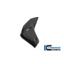 Watercooler Cover left side BMW R 1250 R