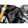 Watercooler Cover left side BMW R 1250 R