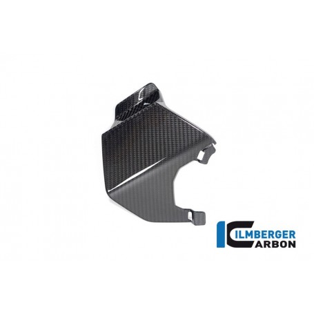Upper Wing right BMW M 1000 XR 2024