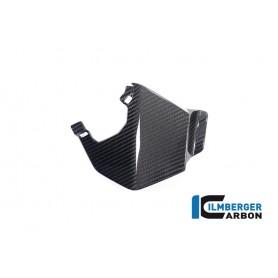 Upper Wing left BMW M 1000 XR 2024